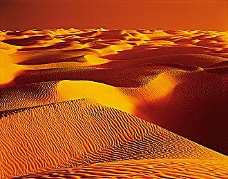 《宝可梦 朱＆紫》新TVCM公布 游戏11月18日登陆NS